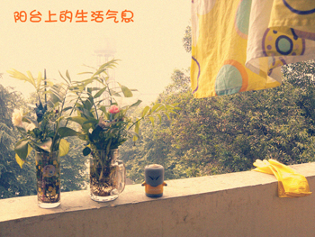 成人影视片
