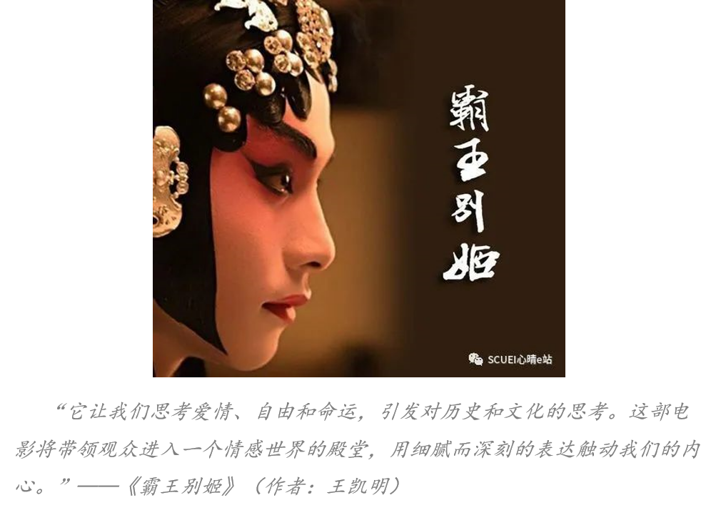 成人影视片