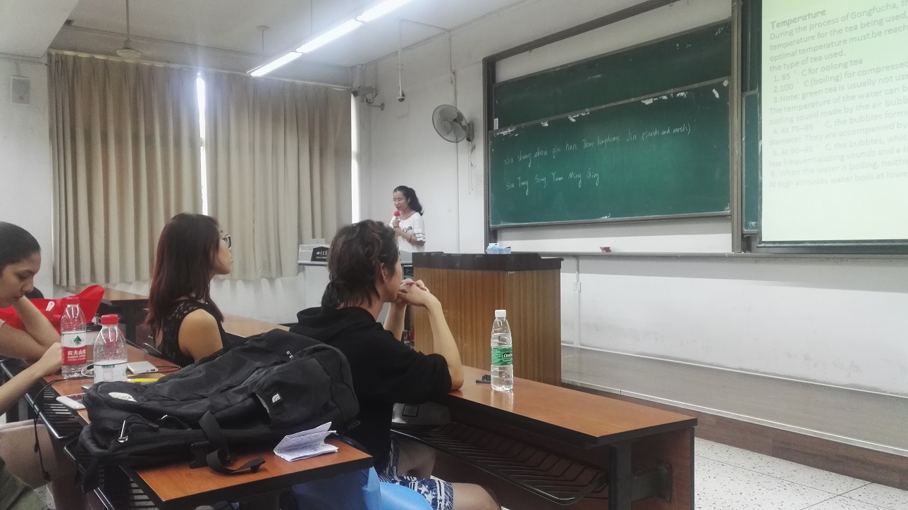 成人影视片